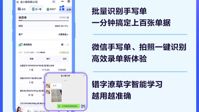 湖北金蝶精斗云云進(jìn)銷存