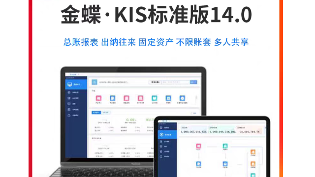 購買金蝶KIS云有什么 抱誠守真 成都瑞聞科技供應(yīng)