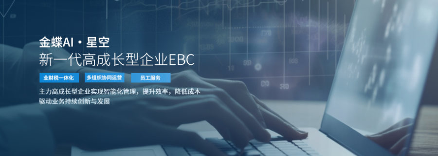 四川管易云成都瑞聞科技有限公司費(fèi)用是多少