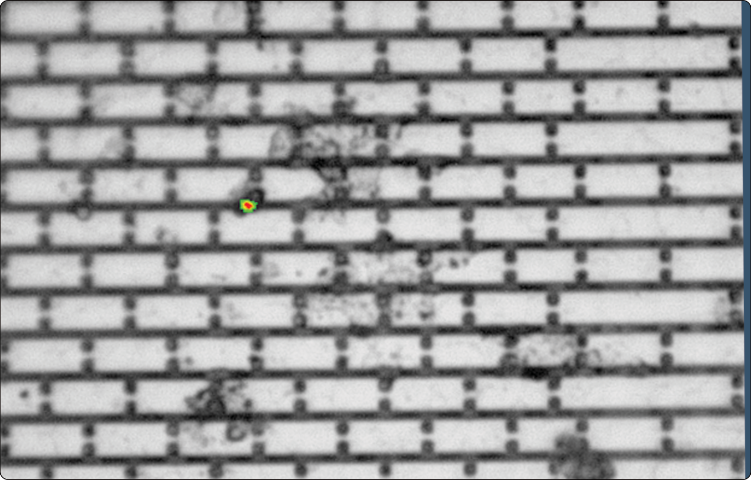 安徽LED EMMI成像 蘇州致晟光電供應(yīng)