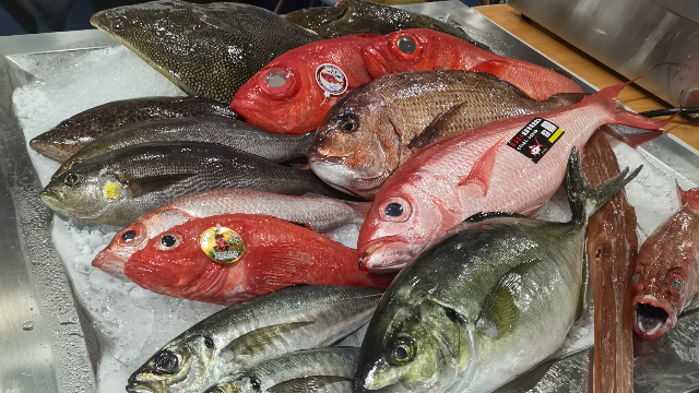 德國(guó)食品展人流量