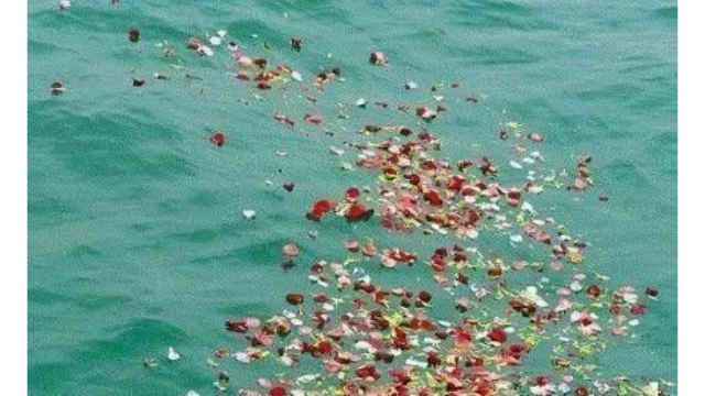 湖北白店鄰里環(huán)保江葬選購 歡迎來電 武漢白店鄰里禮儀供應(yīng)