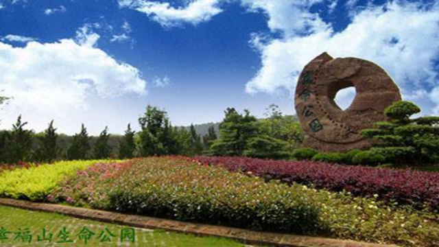 蔡甸區(qū)仙鶴湖濕地園陵園墓地所需材料,陵園墓地