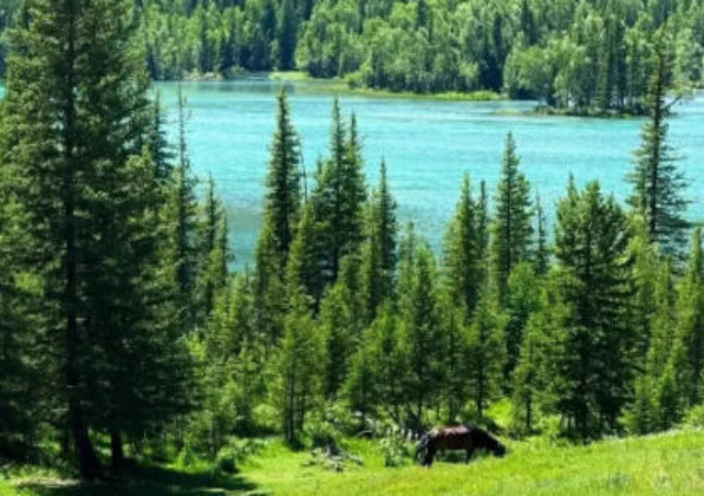 南沙區(qū)常規(guī)游覽景區(qū)管理聯(lián)系人