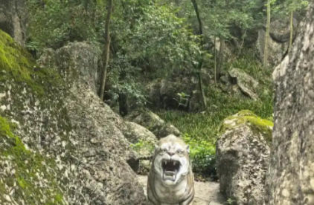 汕頭名優(yōu)游覽景區(qū)管理價錢