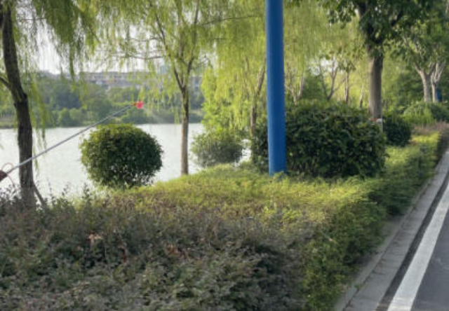 天河區(qū)特色城市綠化管理篩選
