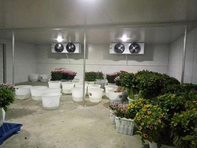 韶關速凍冷庫技術 深圳弘利冷凍設備供應