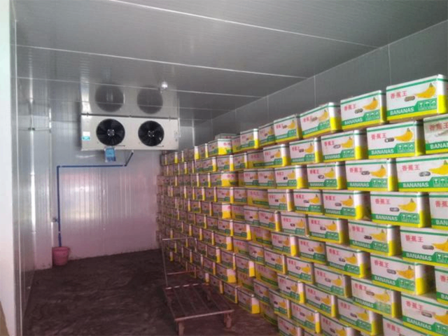 上海微電腦控制速凍冷庫(kù)咨詢,速凍冷庫(kù)