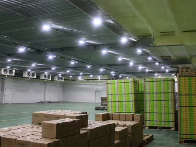 浙江環保型速凍冷庫定制