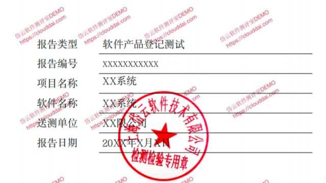 安全等級(jí)保護(hù)軟件測(cè)試公司 服務(wù)為先 上海岱云軟件技術(shù)供應(yīng)