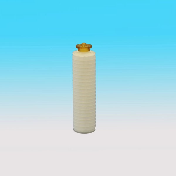 ն˹
