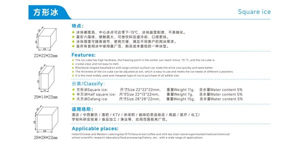 經(jīng)典款方塊冰CL-250