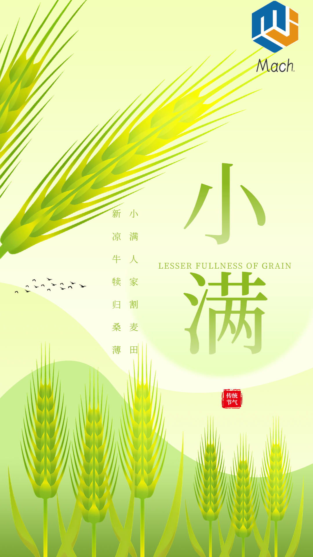 邁赫國際：在小滿時節(jié)，共筑美好未來