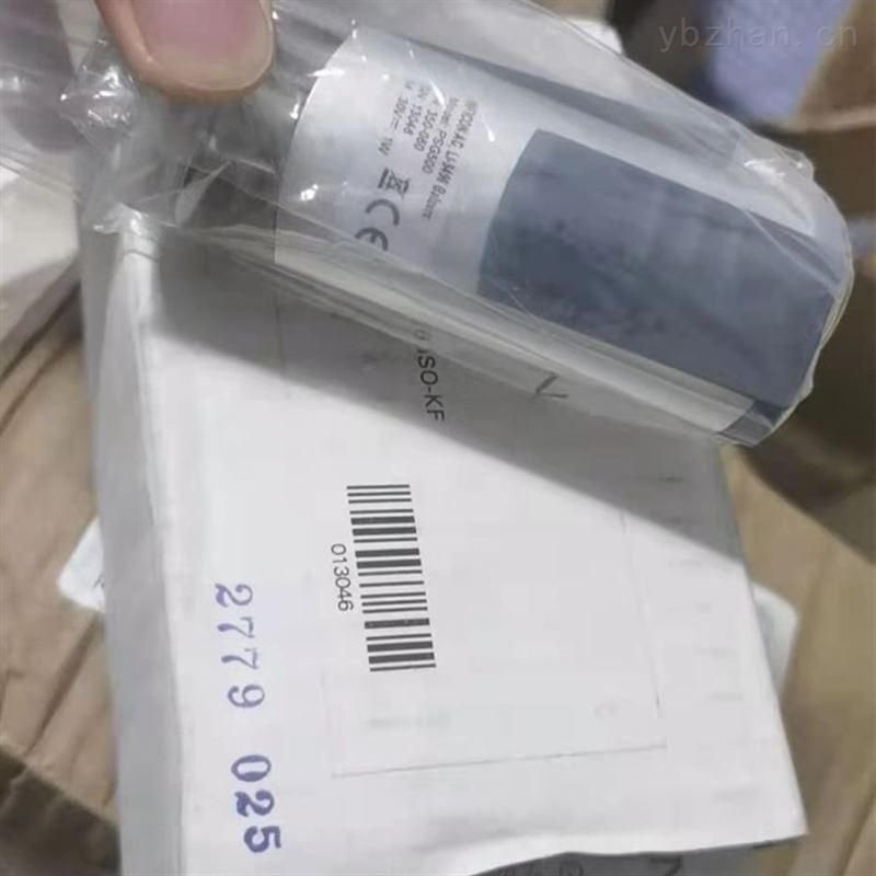 AERA氣體質量流量計