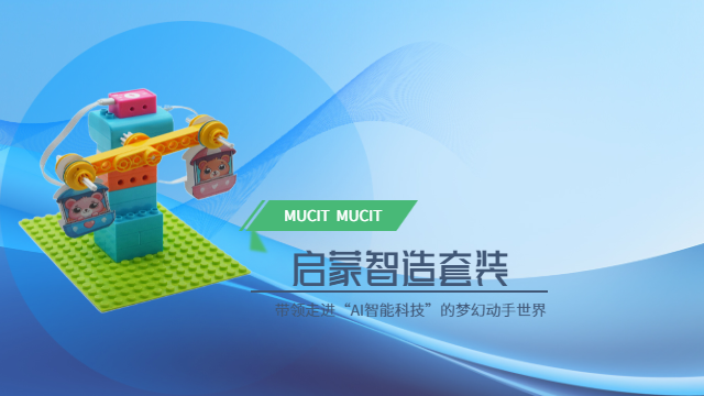 吉林大顆粒玩具搭建 常州碼立創(chuàng)玩具科技供應