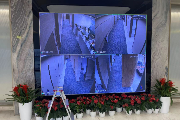 上海櫥窗LED透明屏亮度 歡迎來電 上海碩百光電供應(yīng)