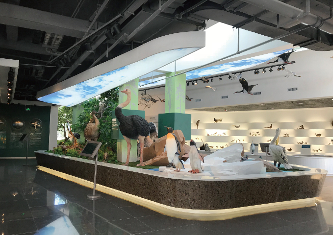 上海全国展馆设计深化 上海励丰创意展示供应