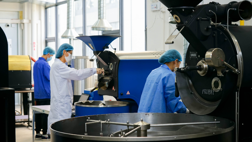 佛山膠囊咖啡豆產(chǎn)品 歡迎咨詢 靈感佛山食品供應(yīng)