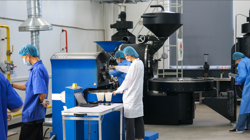 東莞附近咖啡豆推薦 歡迎咨詢 靈感佛山食品供應(yīng)