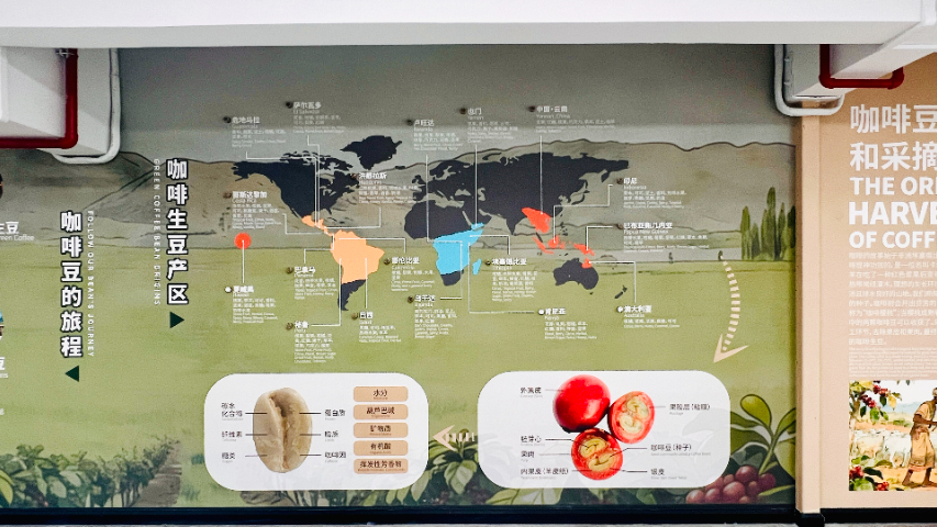 珠海常见咖啡培训怎么样