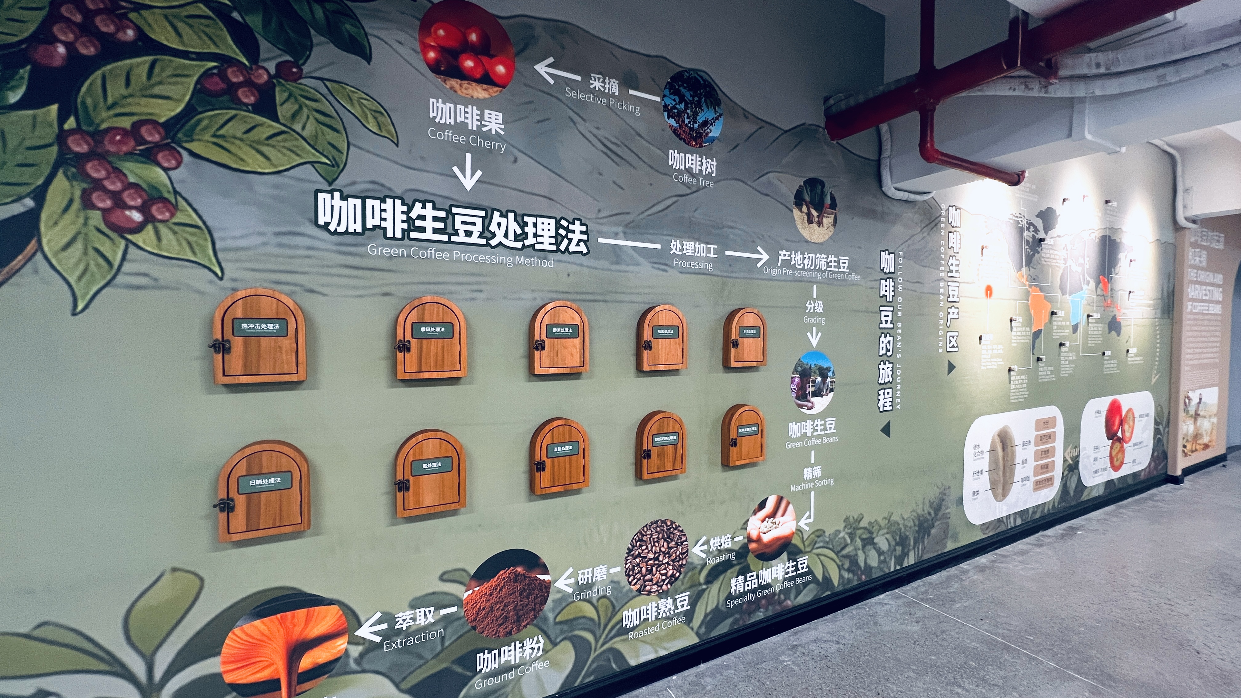 想學咖啡怕被坑？佛山靈感咖啡工廠持證教學+開店全扶持