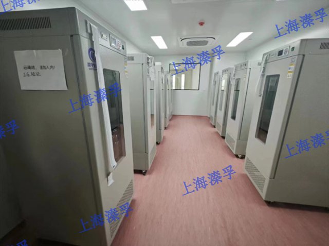 湖南电热恒温培养箱哪家好,培养箱