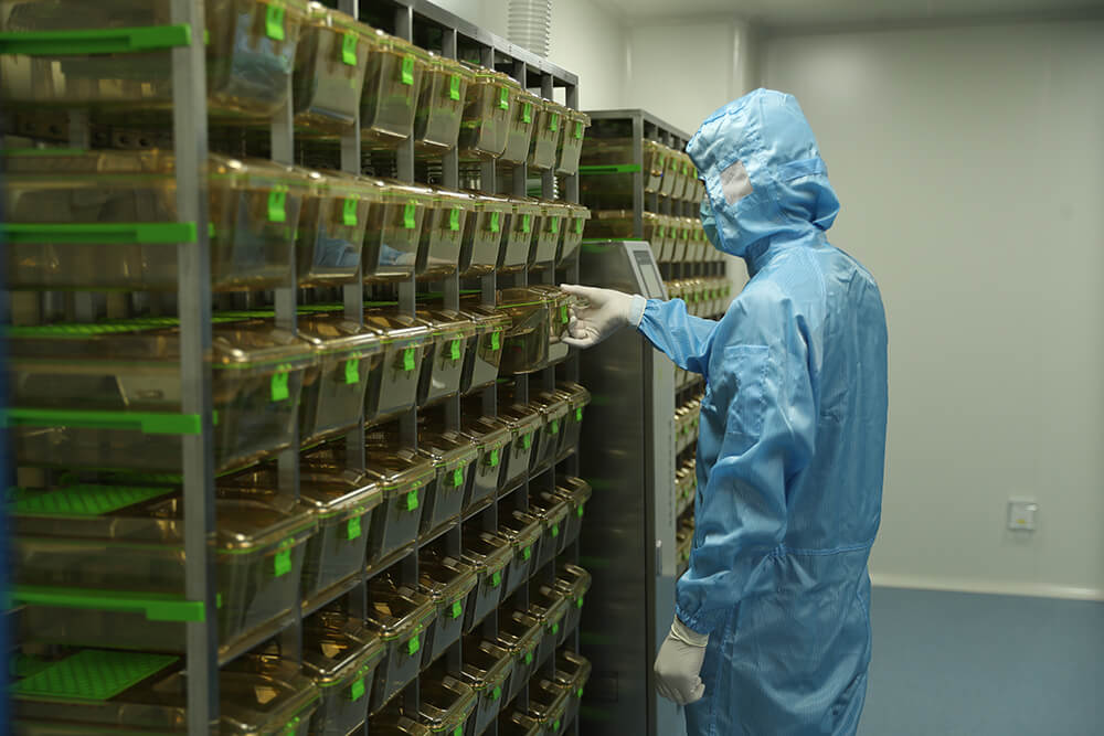 江苏泰州专业动物实验CRO平台｜江苏瀚江生物科技有限公司