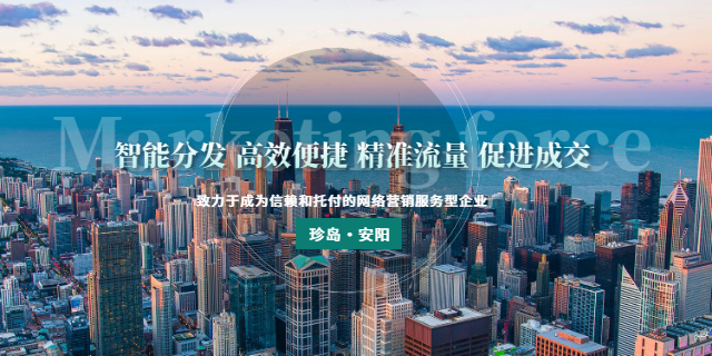 安陽運(yùn)營珍島安陽網(wǎng)絡(luò)營銷24小時(shí)服務(wù)