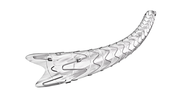 深圳市世格賽思醫(yī)療科技有限公司覆膜支架費(fèi)用 歡迎咨詢 深圳市世格賽思醫(yī)療科技供應(yīng)