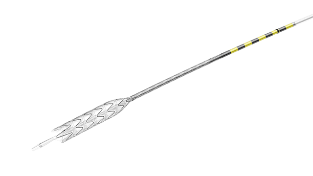 深圳市世格賽思醫(yī)療科技有限公司覆膜支架使用流程 歡迎來電 深圳市世格賽思醫(yī)療科技供應(yīng)