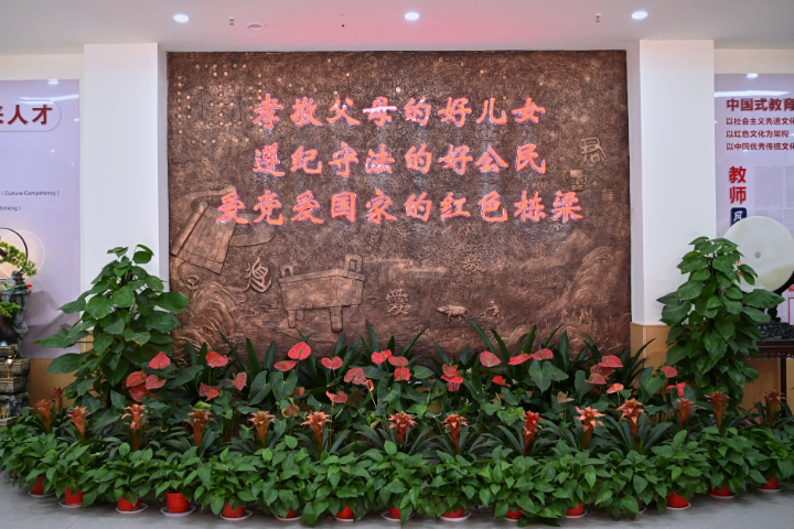 灌南青春期不适应应试教育干预机构帮我推荐几家,不适应应试教育