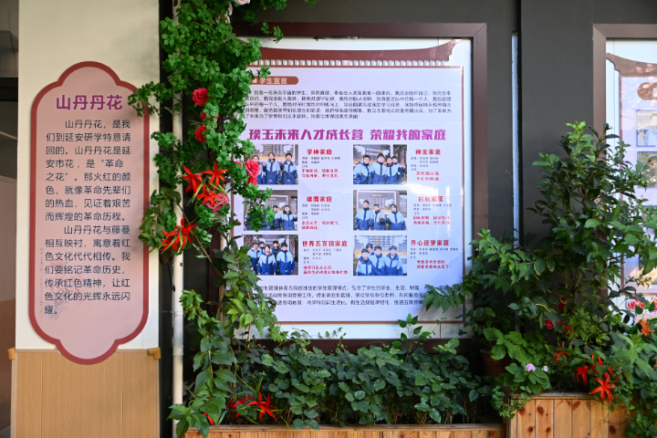 河北高中生不适应应试教育干预机构帮我推荐几家