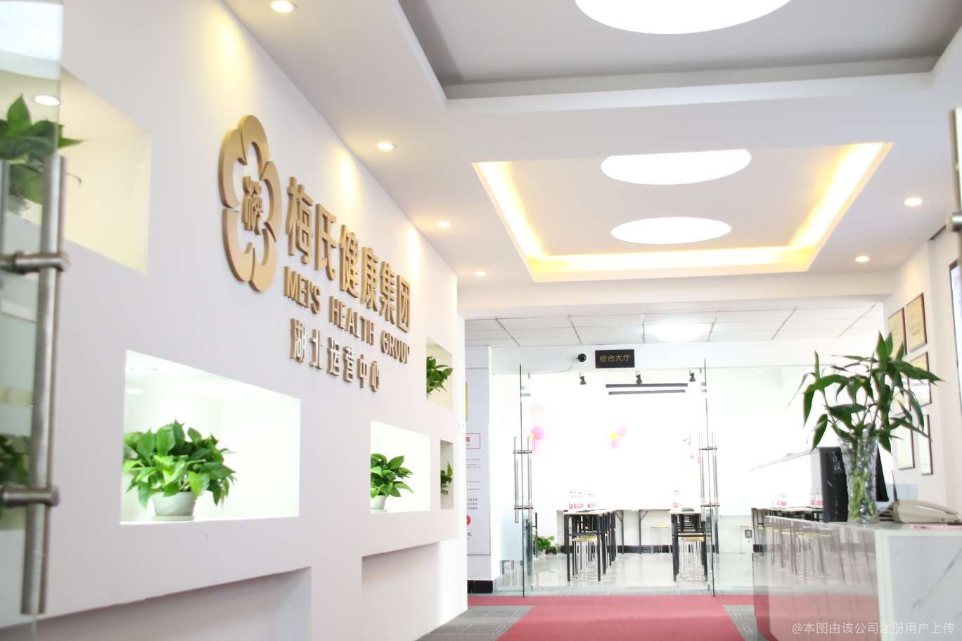 梅氏健康集團(tuán)