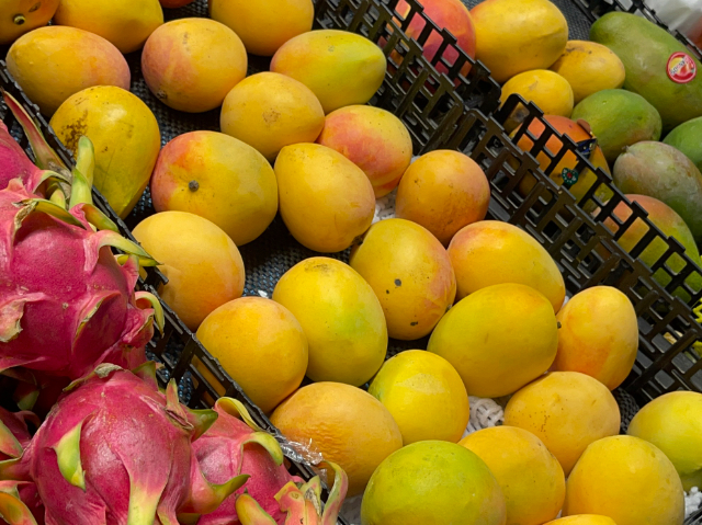 青海大中型商場超市EMC投資