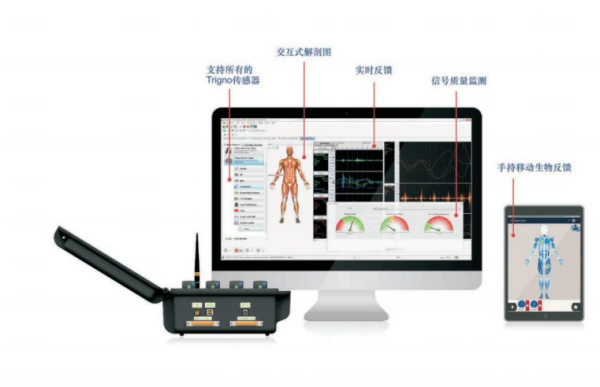 Delsys表面肌電測(cè)試系統(tǒng)