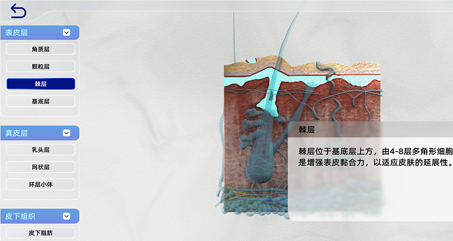 上海浦東專業仿真教學性價比 上海祎風信息科技供應