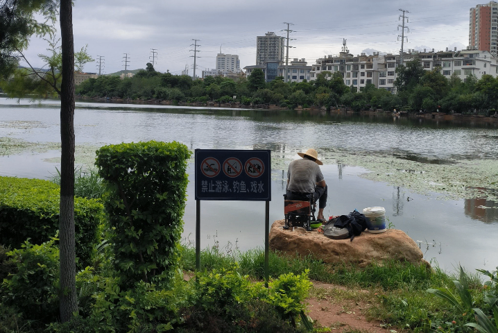 河南綜合智慧公園綜合管理平臺價格比較 真誠推薦 北京仟維智能科技供應