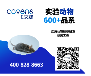 常州卡文斯實驗動物疾病模型