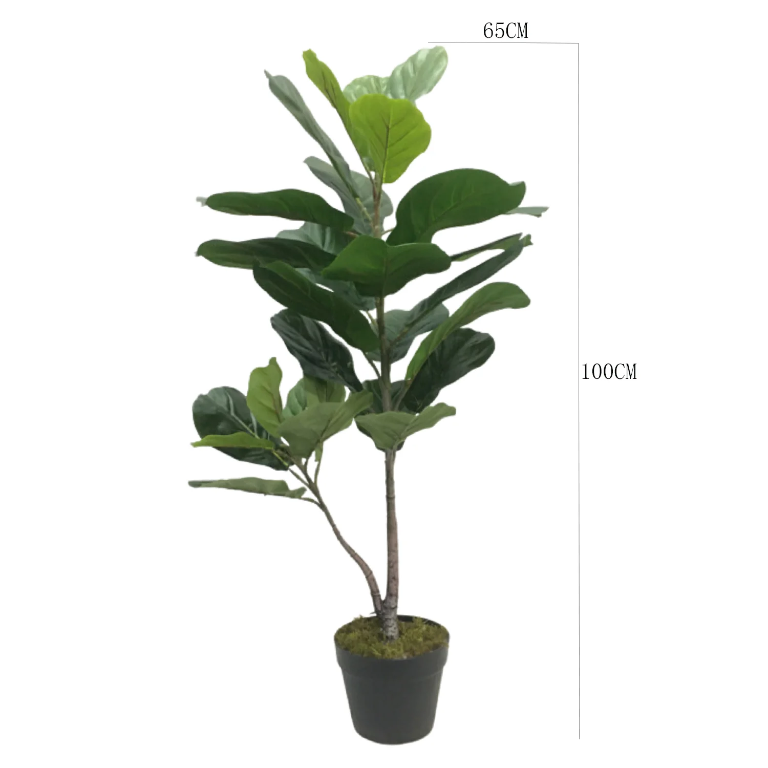 165db4a6938a84cbac4ad14938103501