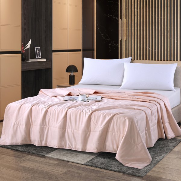 杰元A類天山雪棉抗菌夏被