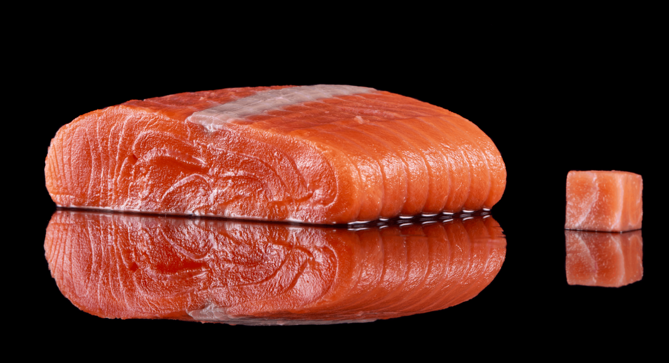 熊北鼻阿拉斯加紅鮭，給孩子的深海營養(yǎng)輔食