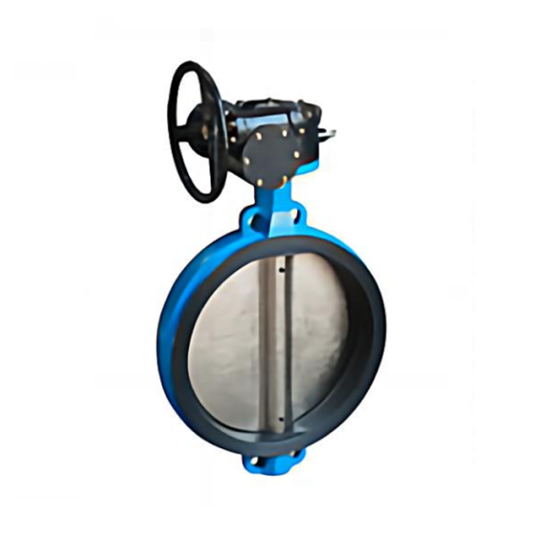 對夾式中線蝶閥