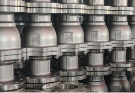 Low-Pressure Valves