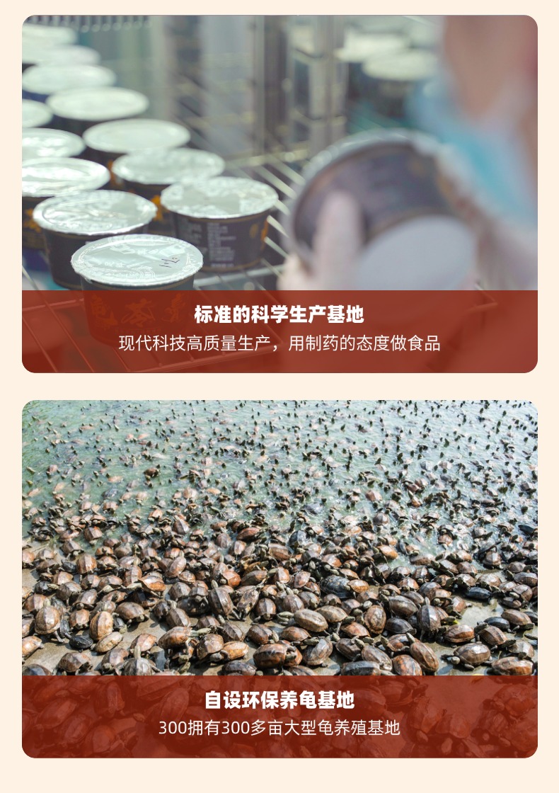 供应江门市大湾区龟苓膏直销广东福伦医药生物科技供应
