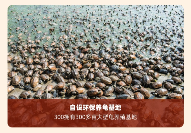 西藏如何选择靠谱的龟苓膏供应商