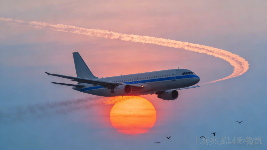 英国易碎品国际物流哪家好