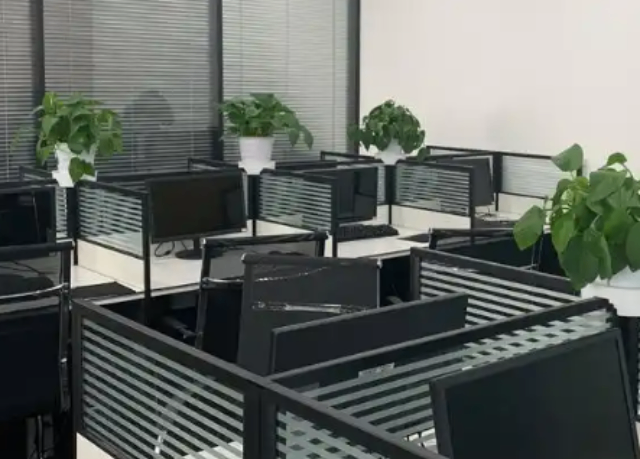 楊浦區(qū)推廣企業(yè)咨詢熱線