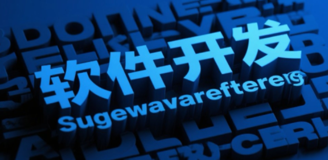 松江區(qū)貿(mào)易軟件開(kāi)發(fā)咨詢(xún)熱線