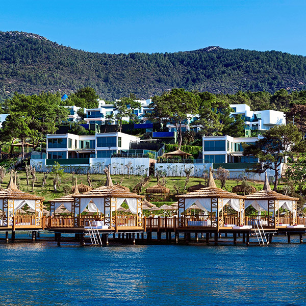 中卫腾格里沙漠：亲子沙漠探险，体验独特的自然风光