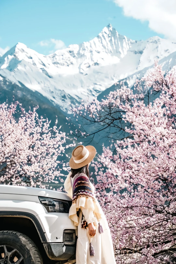 香港澳宝典大全